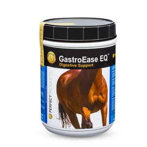 GastroEase for Winter Health at FarmVet