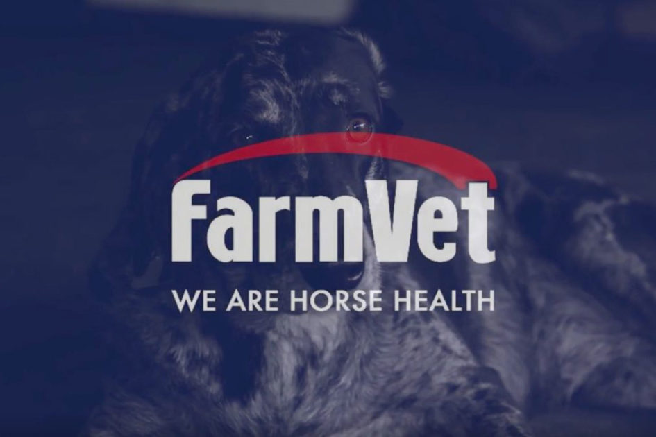 FarmVet Puts Horse Health First