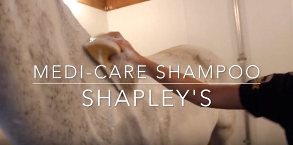 Shapley's Medi-Care Shampoo