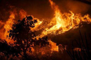 Fire Evacuation tips for Ventura Co.