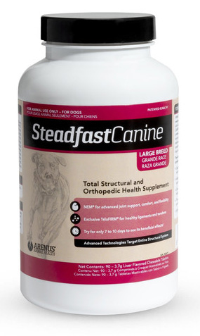 Steadfast Canine Large