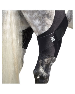Ice Horse Stifle Wrap at FarmVet for cold therapy