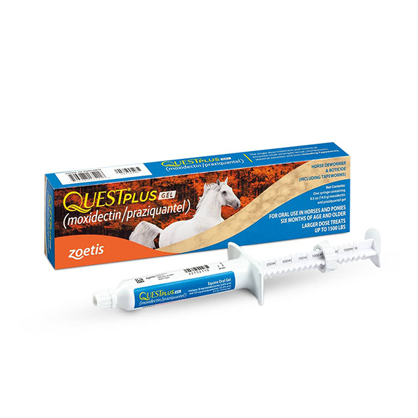 Quest Plus dewormer available at FarmVet