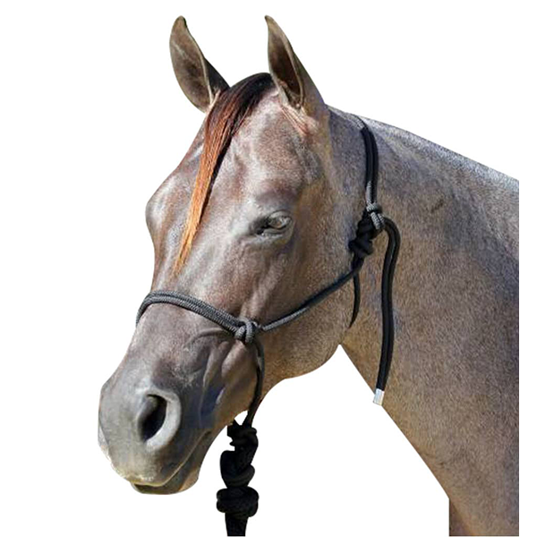 Professional's Choice Rope Halter with Lead for western equestrian Gifts from FarmVet