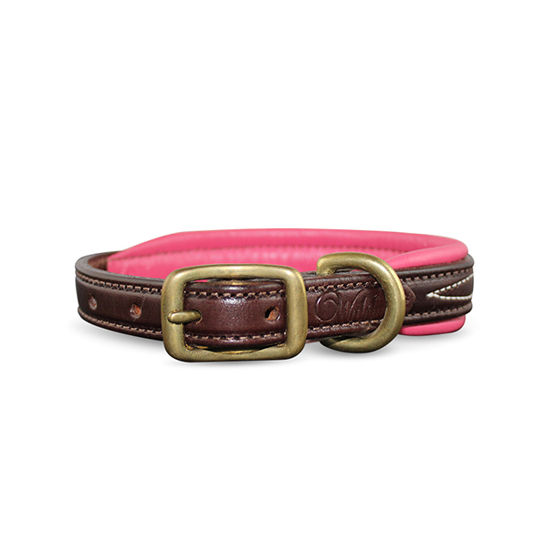 Walsh Signature Dog Collar for Valentine's Day gifts for pets at FarmVet