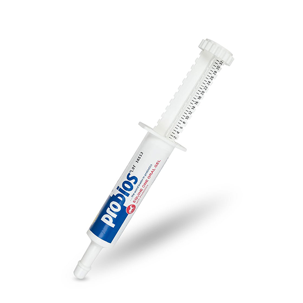 Probios Equine Paste for foaling season available at FarmVet