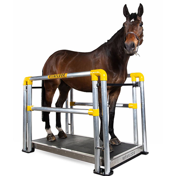 Vitafloor Vibration Plate for Equine therapy and rehab available at FarmVet