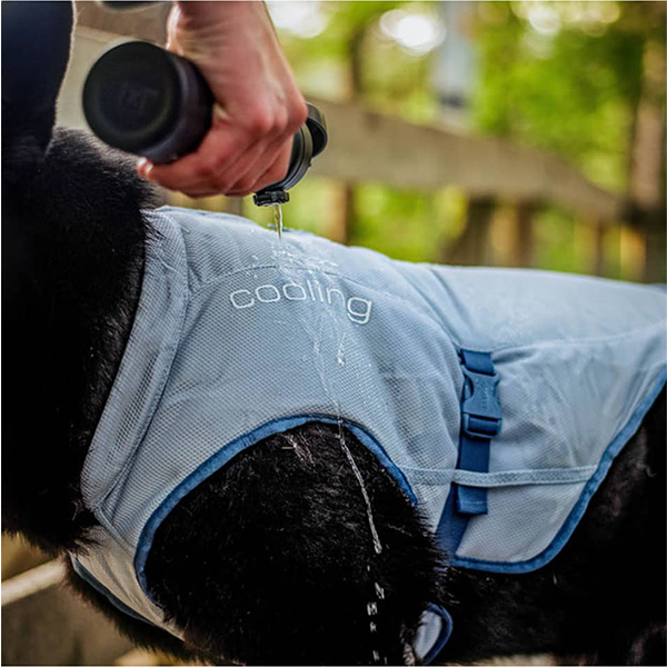 Kurgo Core Cooling Vest for Summer with pets available at FarmVet