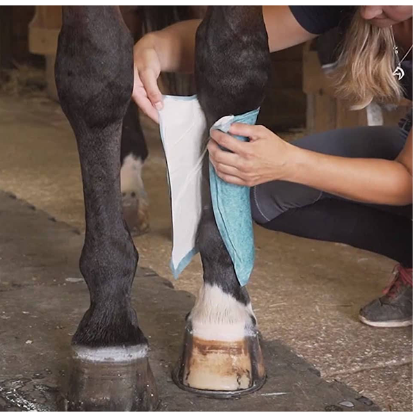 Quinn's Equine Poultice Wraps for therapy New Arrivals at FarmVet