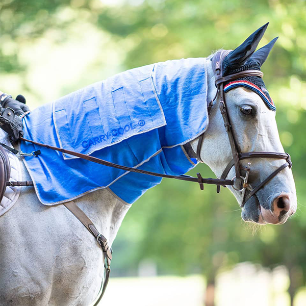 Equisources Carry-Cool for horse cool down and heat stress available at FarmVet