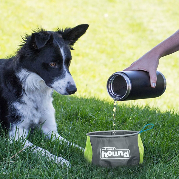 Outward Hound Port-A-Bowl Portable Dog Dish for Summer with pets available at FarmVet