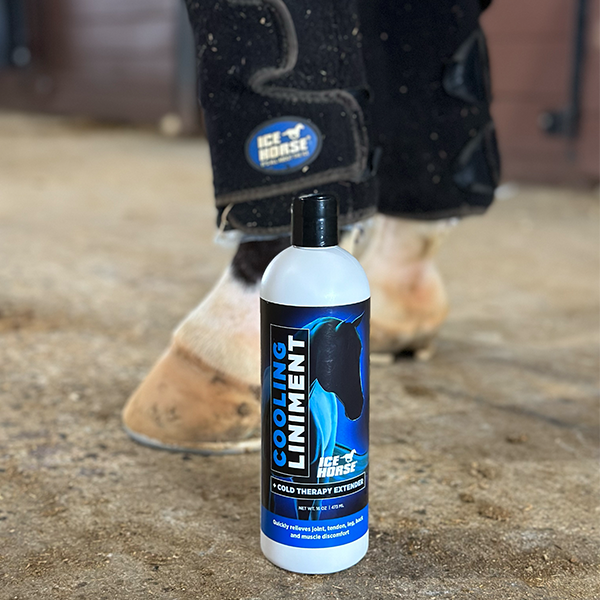 Mackinnon Ice Horse Cooling Liniment and Ice Boots for horse recovery available at FarmVet
