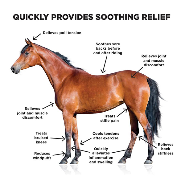 Mackinnon Ice Horse Cooling Liniment for horse recovery available at FarmVet