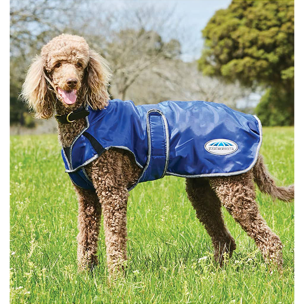 WeatherBeeta Comfitec Windbreaker Free Deluxe Dog Coat for Pets in the Cold available at FarmVet