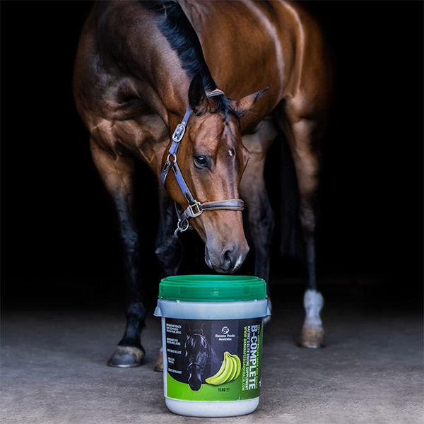 Banana Feeds Australia B-COMPLETE Equine Supplement for GutHealth in Horses available at FarmVet