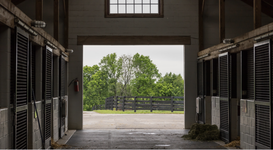 Summer at the Barn