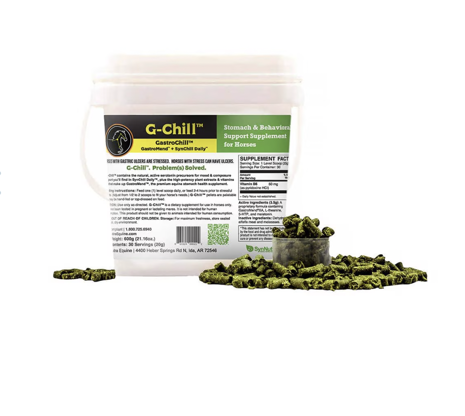 SynNutra G-Chill Equine Supplement for Anxiety and Digestion Available at FarmVet