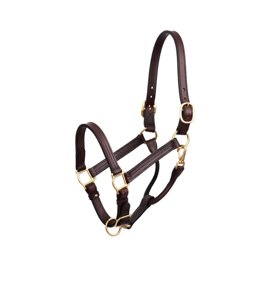 Perri's Leather Show Halter Gifts for New Horse Lovers at FarmVet