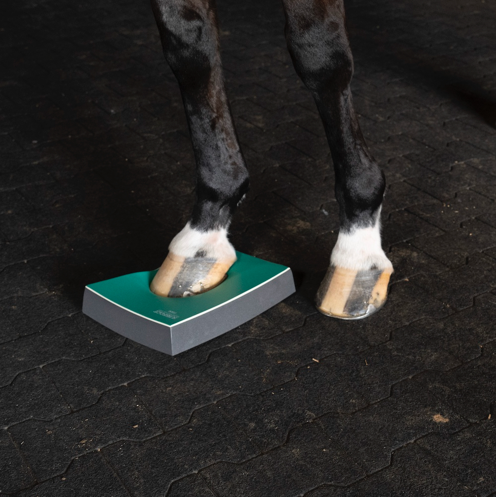 Sure Foot Pads for Equine Rehab & Therapy available at FarmVet