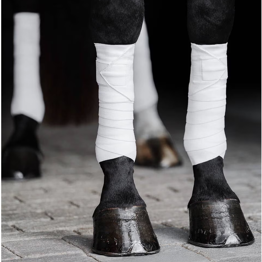 How to wrap a horse’s legs with Incrediwear Equine Circulation Exercise Bandages