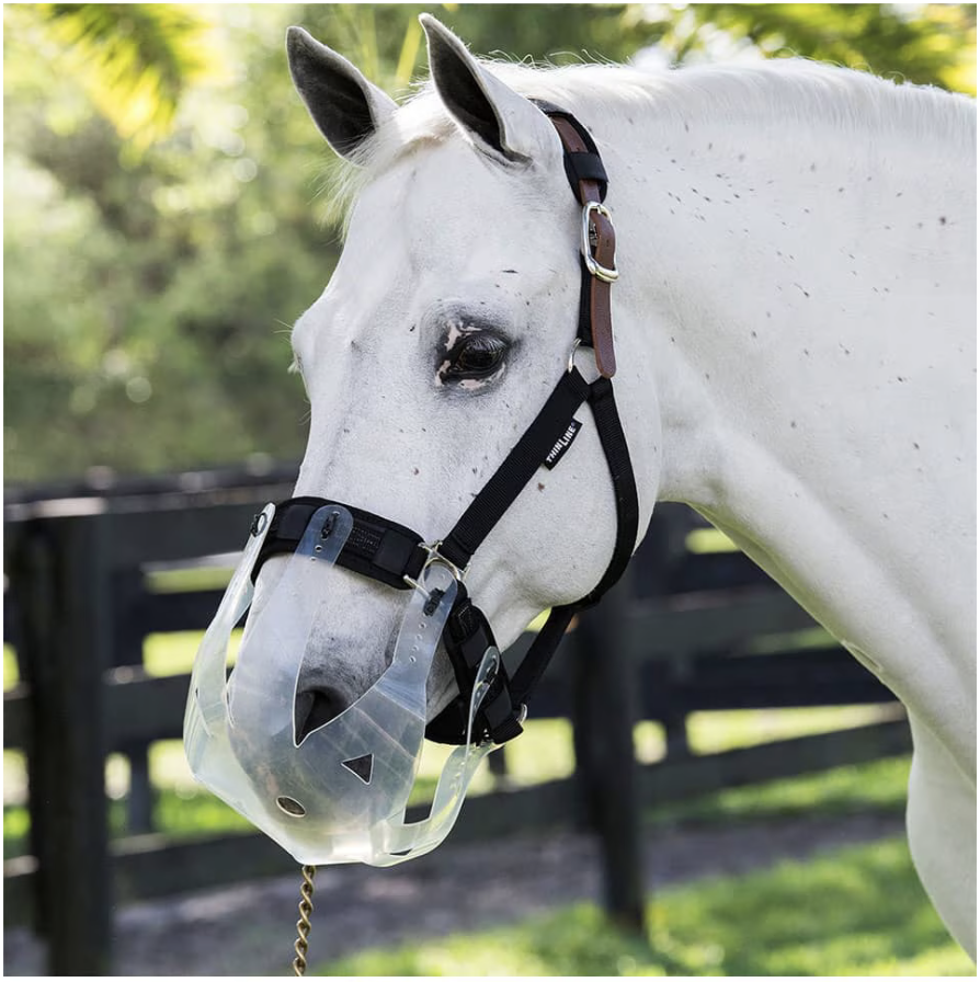 Grazing Muzzle for Horses on Spring Grass available at FarmVet